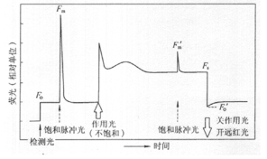 Handy PEA植物效率分析儀