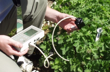 Handy PEA植物效率分析儀