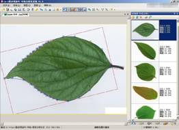 LA-S植物葉面圖像分析系統