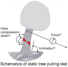 PiCUS TreeQinetic樹木拉伸測試儀